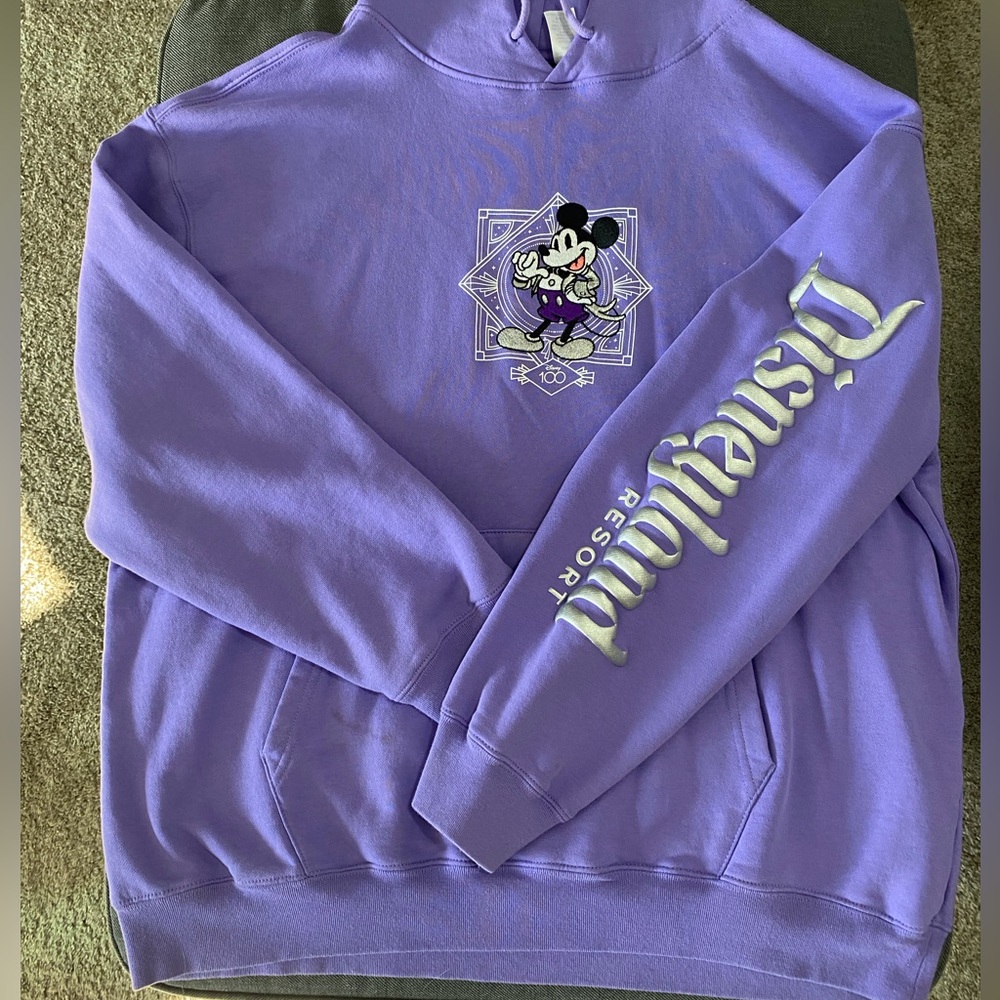 Disney 100 Year Hoodie
